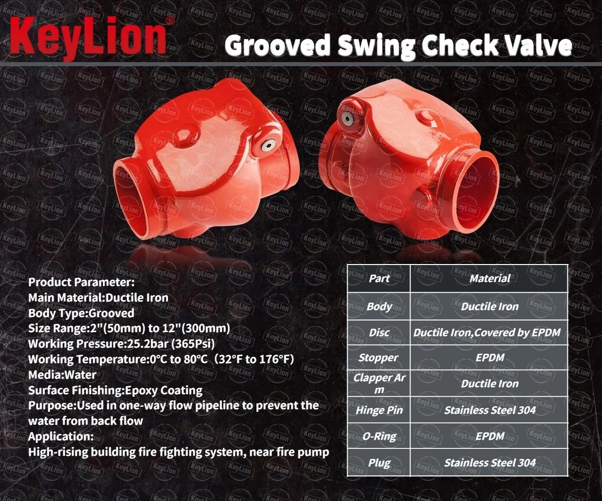 4 Inch Swing Check Valve 4 Inch Swing Check Valve